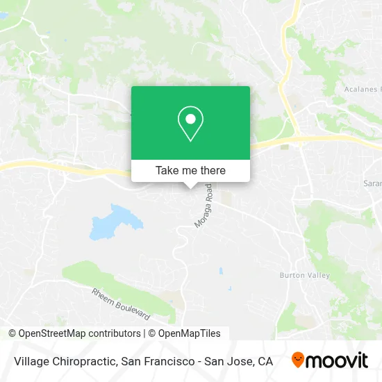 Village Chiropractic map