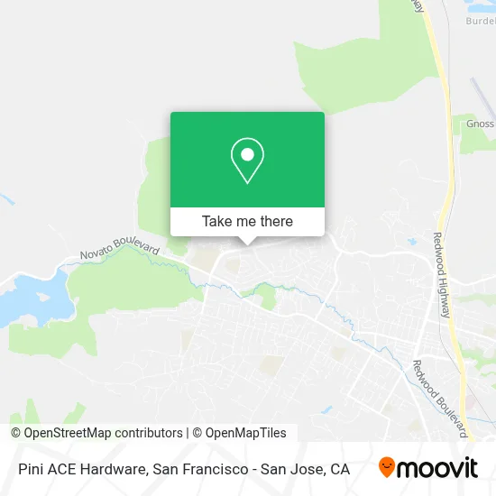 Pini ACE Hardware map