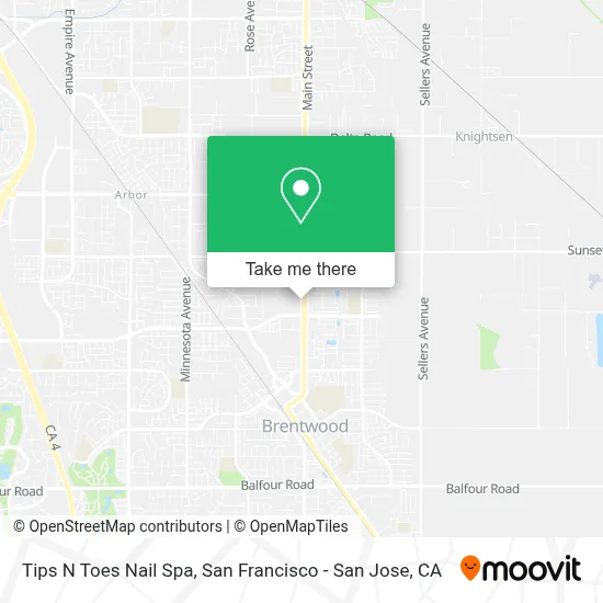 Tips N Toes Nail Spa map