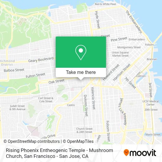 Rising Phoenix Entheogenic Temple - Mushroom Church map