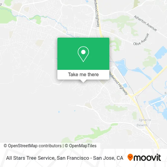 All Stars Tree Service map