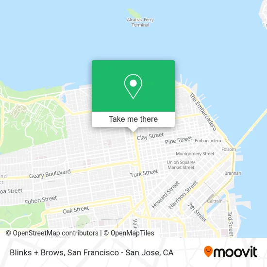 Blinks + Brows map