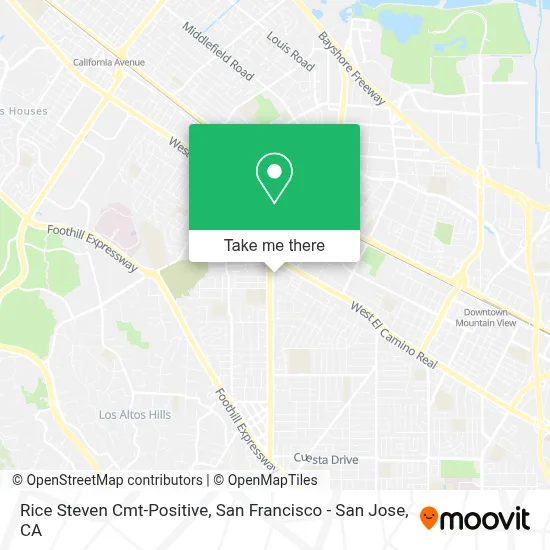 Rice Steven Cmt-Positive map