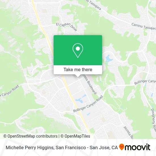 Michelle Perry Higgins map