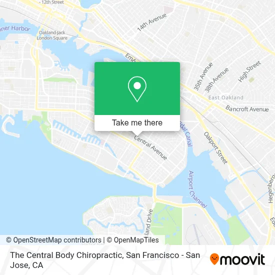 The Central Body Chiropractic map