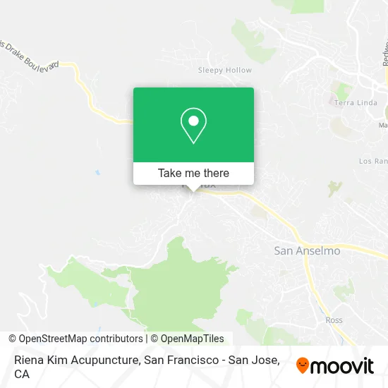 Riena Kim Acupuncture map