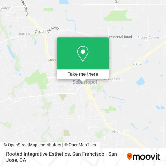 Rooted Integrative Esthetics map