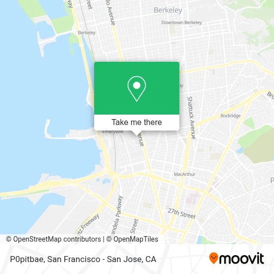 P0pitbae map
