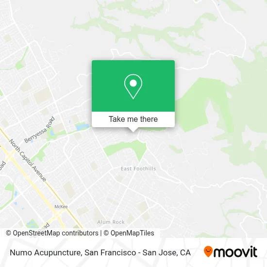 Numo Acupuncture map