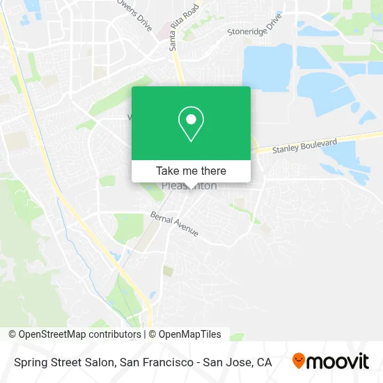 Spring Street Salon map