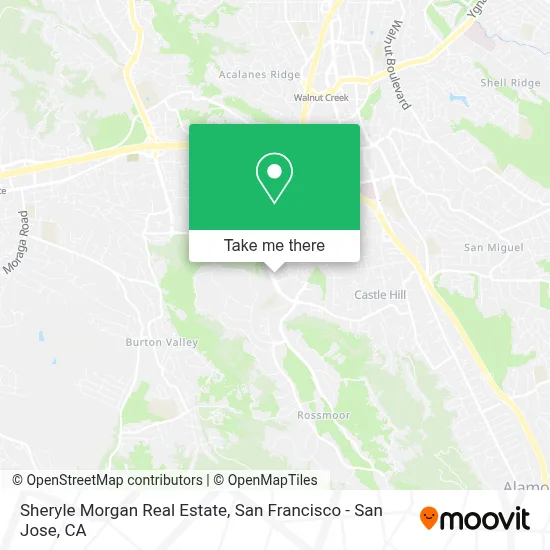 Sheryle Morgan Real Estate map
