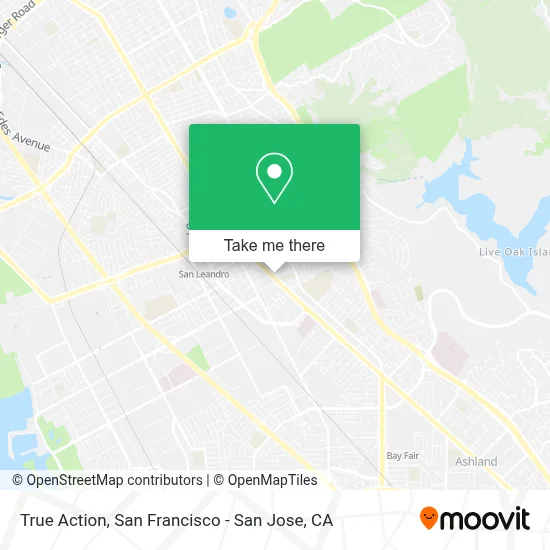 True Action map