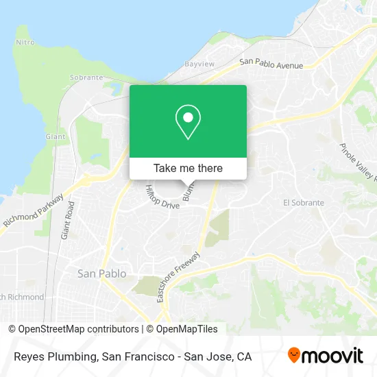 Reyes Plumbing map