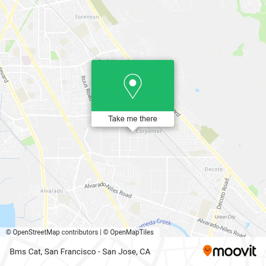 Bms Cat map