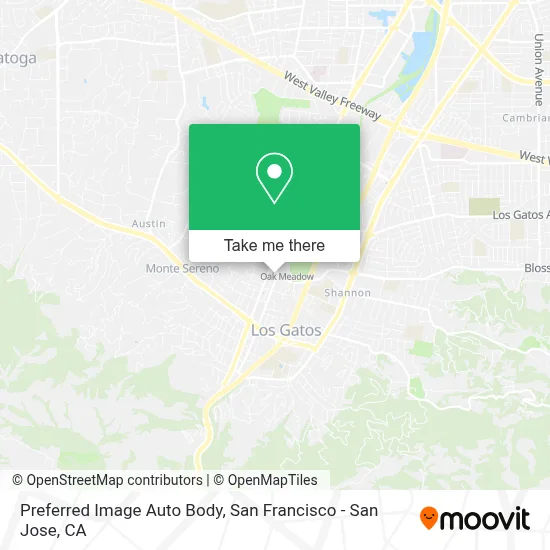 Preferred Image Auto Body map