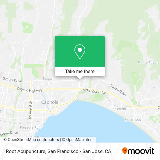 Root Acupuncture map