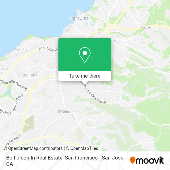 Bo Falcon In Real Estate map