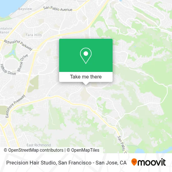 Precision Hair Studio map