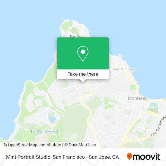 Mint Portrait Studio map