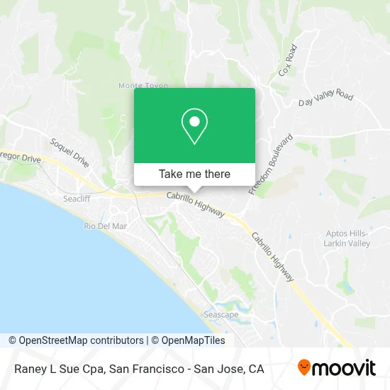 Raney L Sue Cpa map