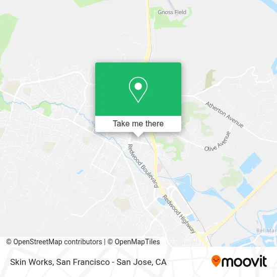 Skin Works map