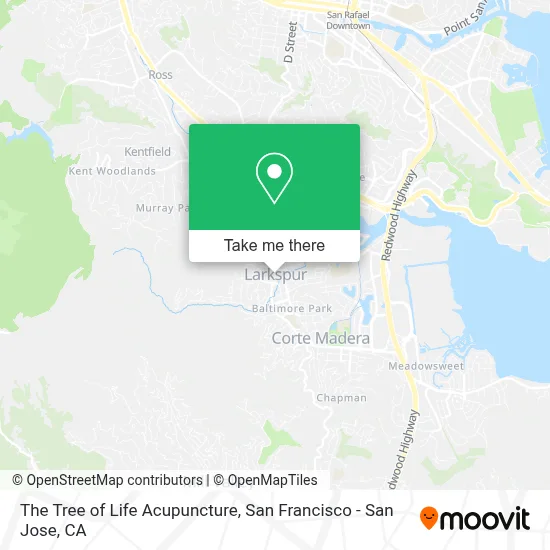 The Tree of Life Acupuncture map