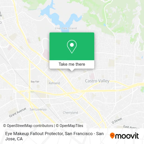 Eye Makeup Fallout Protector map