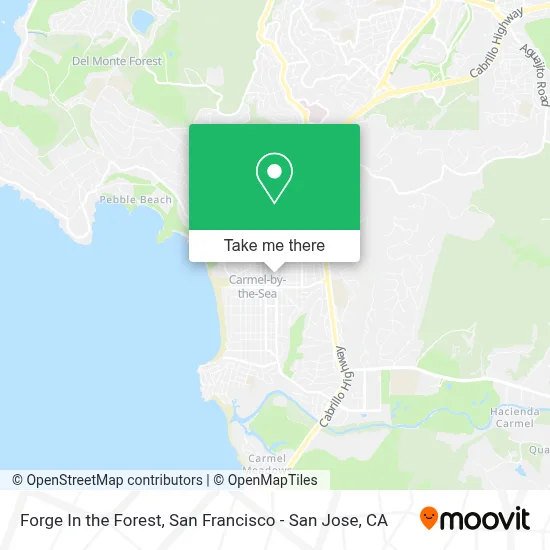 Forge In the Forest map