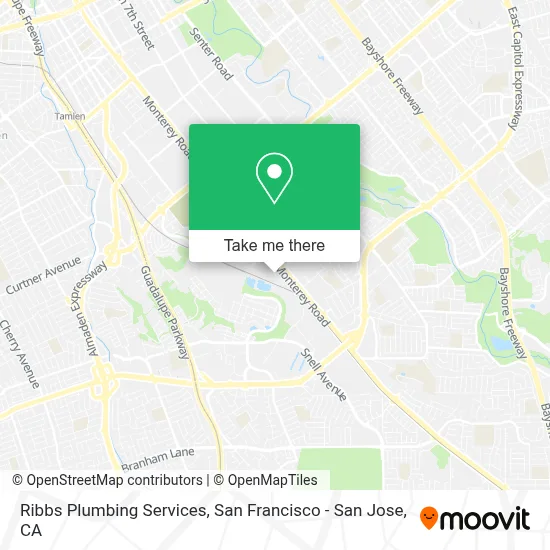 Ribbs Plumbing Services map
