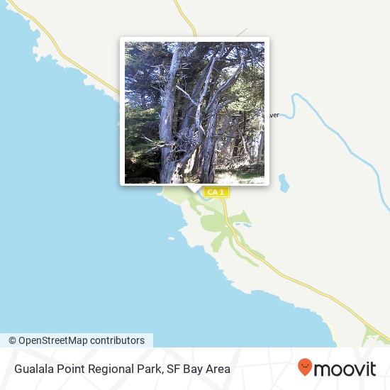 Mapa de Gualala Point Regional Park