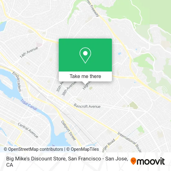 Big Mike's Discount Store map