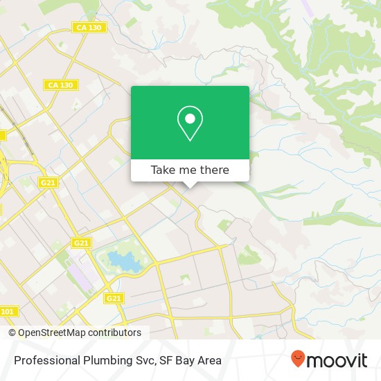 Professional Plumbing Svc map