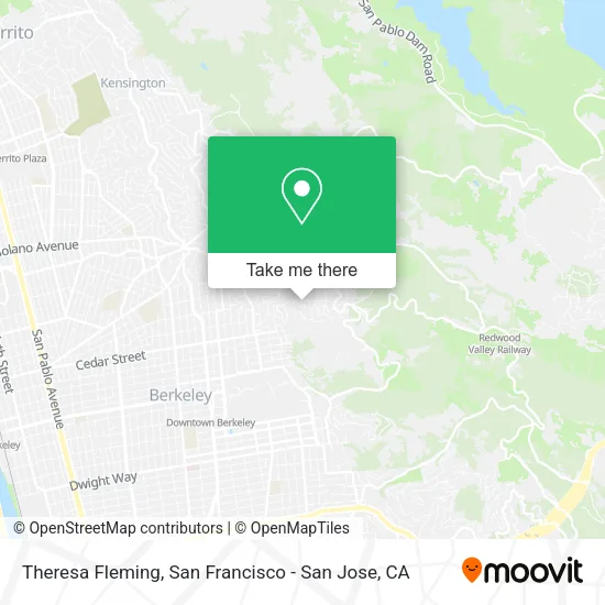 Mapa de Theresa Fleming