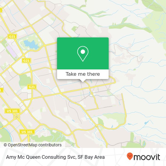 Amy Mc Queen Consulting Svc map