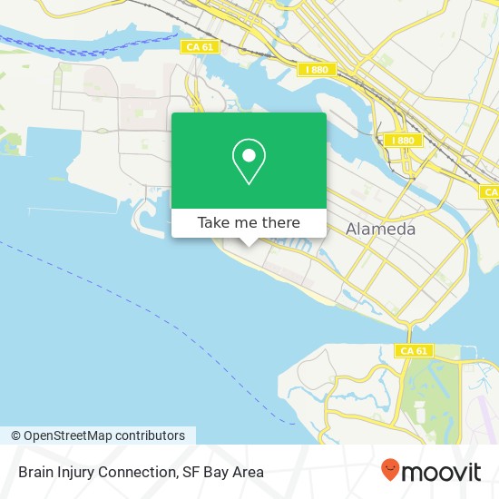 Brain Injury Connection map