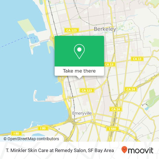 T. Minkler Skin Care at Remedy Salon map