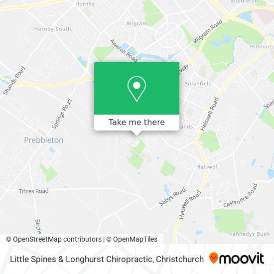 Little Spines & Longhurst Chiropractic map