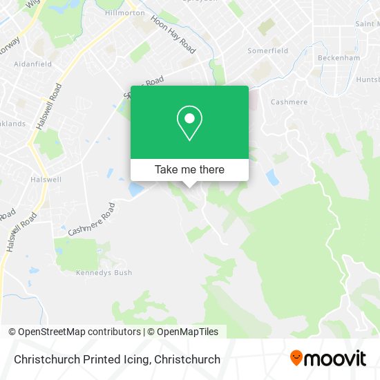 Christchurch Printed Icing map