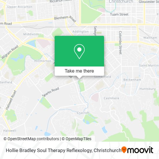 Hollie Bradley Soul Therapy Reflexology map