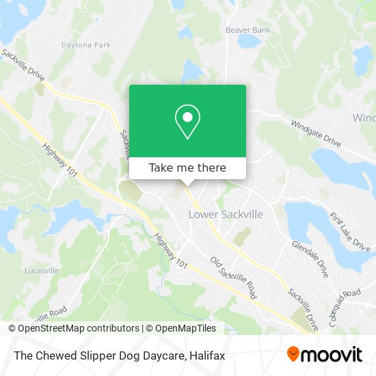 The Chewed Slipper Dog Daycare map