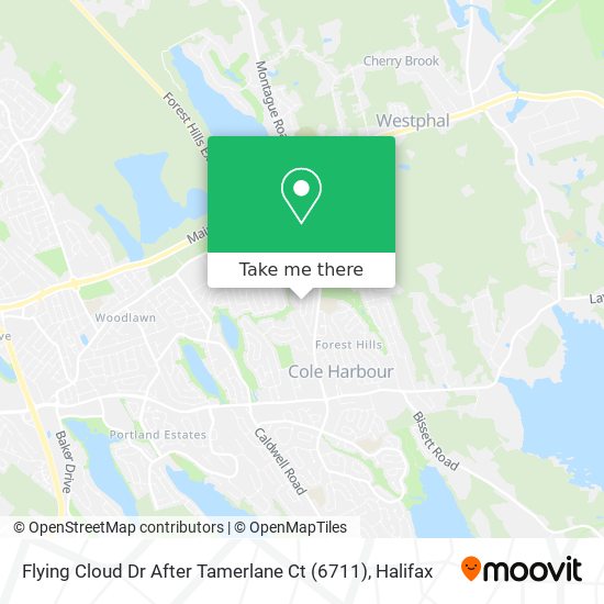 Flying Cloud Dr After Tamerlane Ct (6711) map