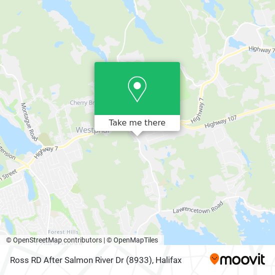 Ross RD After Salmon River Dr (8933) map