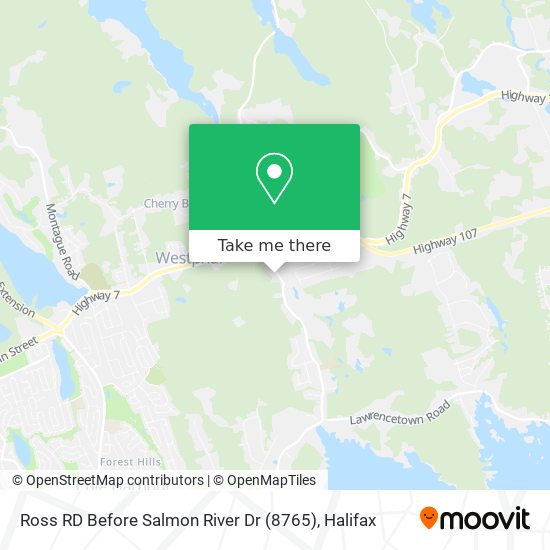 Ross RD Before Salmon River Dr (8765) map