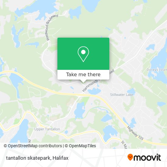tantallon skatepark plan