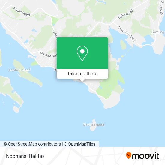 Noonans map