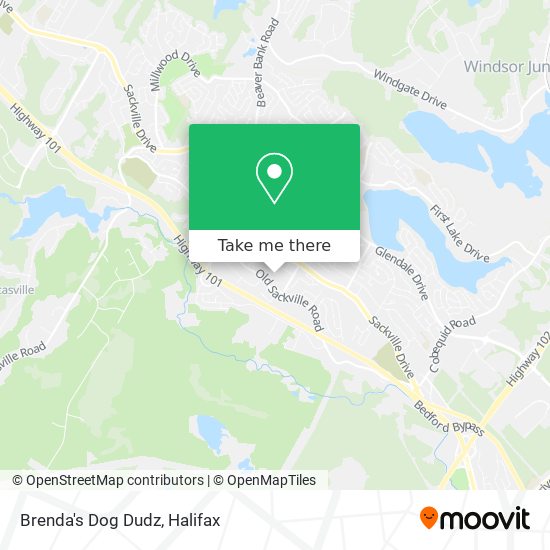 Brenda's Dog Dudz plan