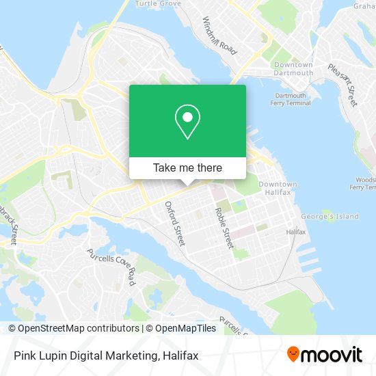 Pink Lupin Digital Marketing map