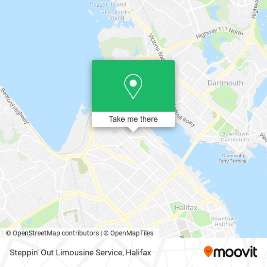 Steppin' Out Limousine Service plan