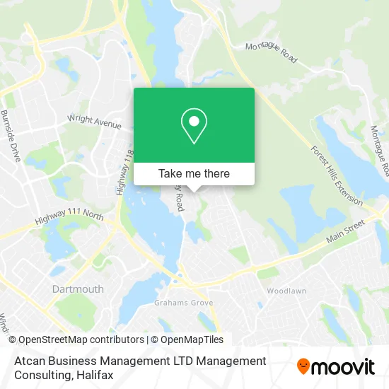 Atcan Business Management LTD Management Consulting plan