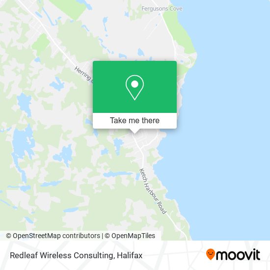 Redleaf Wireless Consulting plan